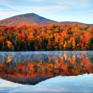 Meet your Posher, Bridget